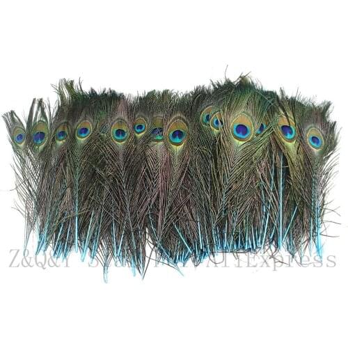 20 natural peacock feathers dyed lake blue for craft decoration 25-30 cm (10-12 inches) Diy jewelry feather vase accessory