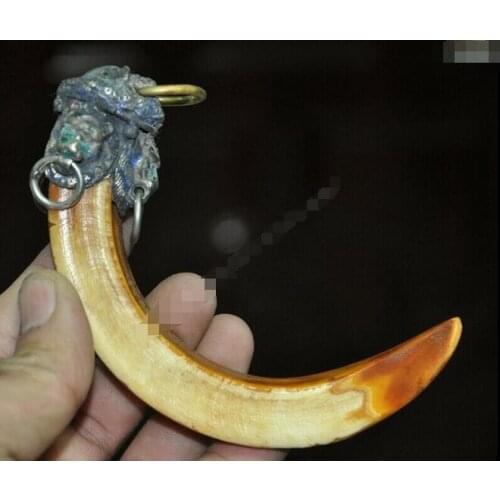 Rare Old Chinese Tibetan Silver inlay Wild boar teeth Exorcism amulet Pendant