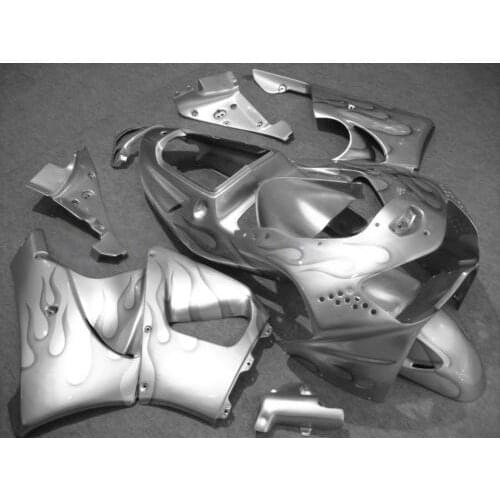Motorcycle Fairing kit for HONDA CBR900RR 919 98 99 CBR 900RR CBR900 1998 1999 ABS Flames silver Fairings set+7gifts HG13