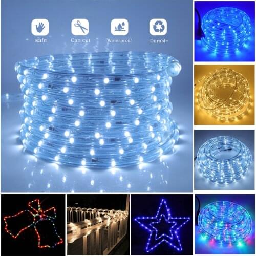 EU 220V LED Rope Tube String Fairy Lights 360 Degree Ligthing Waterproof Outdoor Garden Lamp Rainbow Led Strip