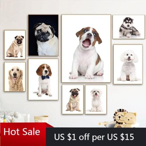 Cute Poodle Husky Pug Pet Dog Poster Prints Canvas Painting Animal Wall Art Decor Pictures For Posters Aesthetic Room Decor