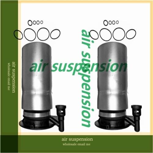 Free Shipping Pair Rear Air Ride Suspension Air Spring Bag Assembly Case For Ford Expedition Car Parts 2007-2015