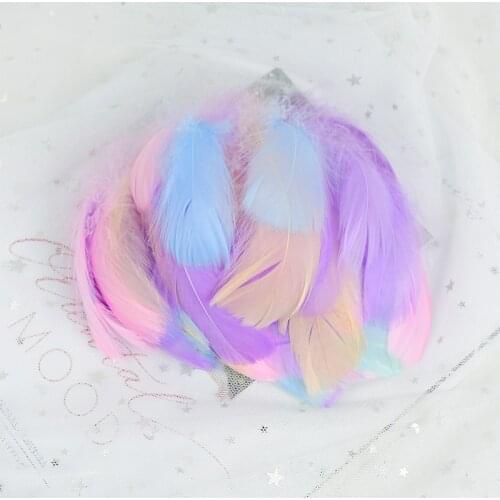 100pcs 10-15CM Natural Swan Feathers DIY Dyed Goose Feather Rainbow Feather Balloon Fill Wedding Dress Decor Accessories Feather