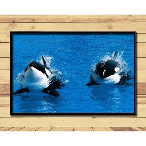 Orca Ferocious Marine Animal (19) Wall Posters Prints Silk Art Painting For Home Wall Bedroom Decor