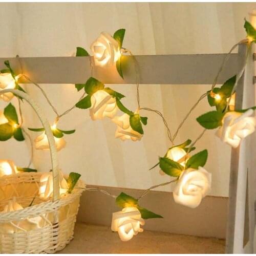 Toporchid Lighting