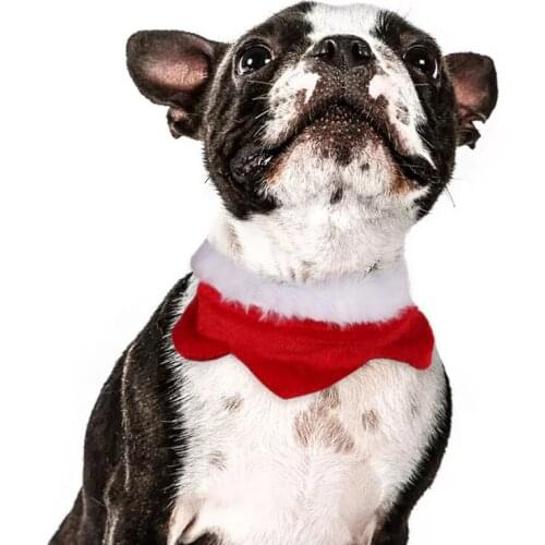 Pet Lace Collar Christmas Eve Dog Scarf Cats Necklace Funny Kitten Puppy Collar For Small Dogs Cats Pet Accessories Neck Strap