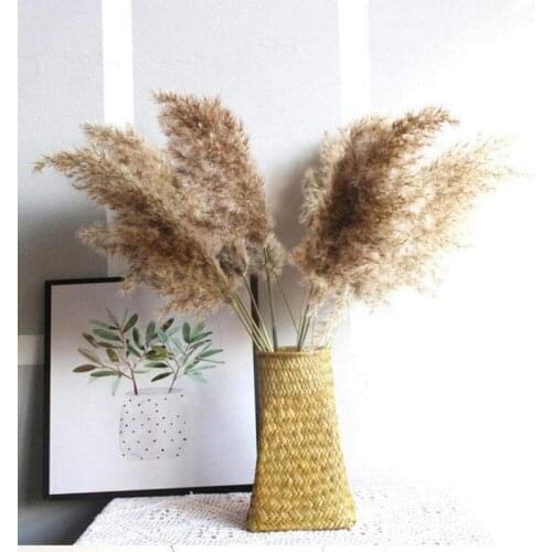 10pc/Lot Dried Pampas Grass Natural Phragmites Reed Wedding Table Bulrush Party Dry Flower Nordic Home Decor Boho Decoration