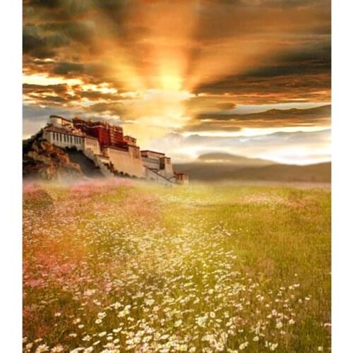 Tibet Potala sun photo backgrounds vinyl scenery portrait marriage photography backdrops in photo studio props photocall CM-6775