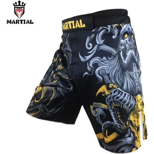 Martial :Aries sublimation shorts boxing trunks boxe thai muay thai shorts kickbox pants