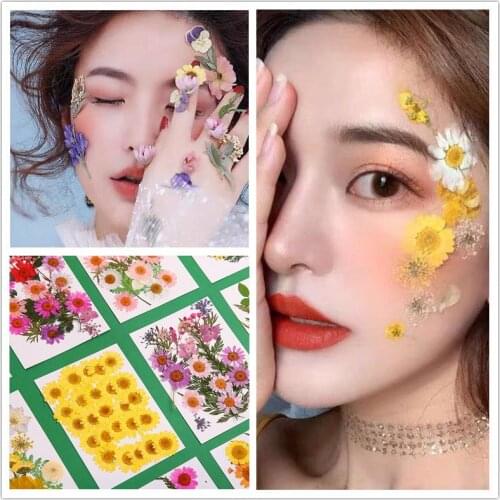Pressed Flower Mixed Dried Flowers DIY Art Floral Decors Collection Gift Craft DIY MOUN777