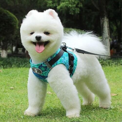 Pet Harness Set Nylon Reflective Dog Cat Printed Harness Vest Walking Outdoor Safety Breathable Jacket For Kitten Puppy Fashion