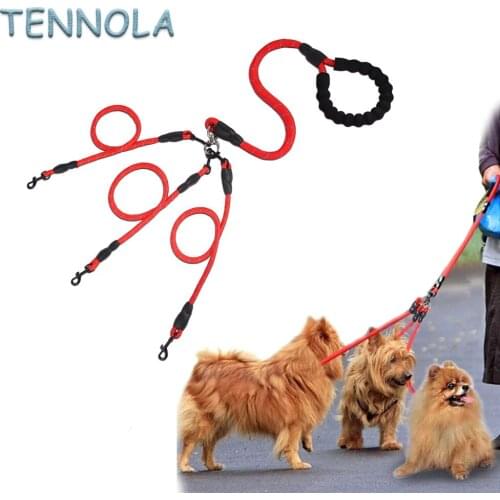 2-6 Head Dogs Rope Good Toughness Pets Leash Outdoor Walking Dog Collar Prevent Rush 2 Colors for Big Midium Small Puppy Cats