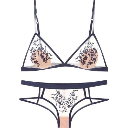 Sexy Bra and Panties Set Transparent Sheer Bralette Lace Embroidery Wireless Triangle Cup Unpadded Sexy Lingerie Set Erotic