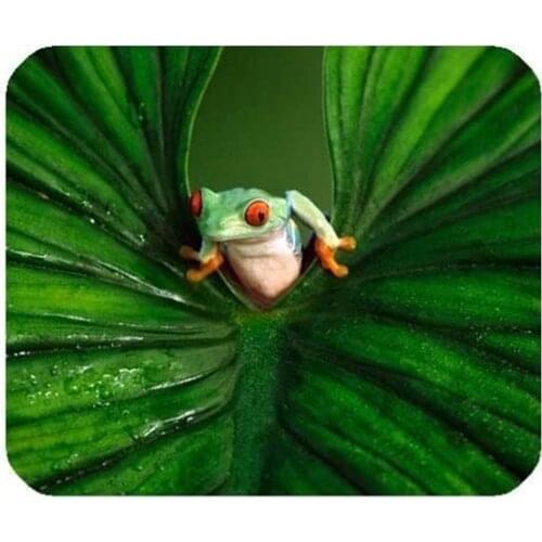Tree Frog Eco Friendly Cloth with Neoprene Rubber Luxlady Mouse padDesktop Mousepad Laptop Mousepads Comfortable Computer