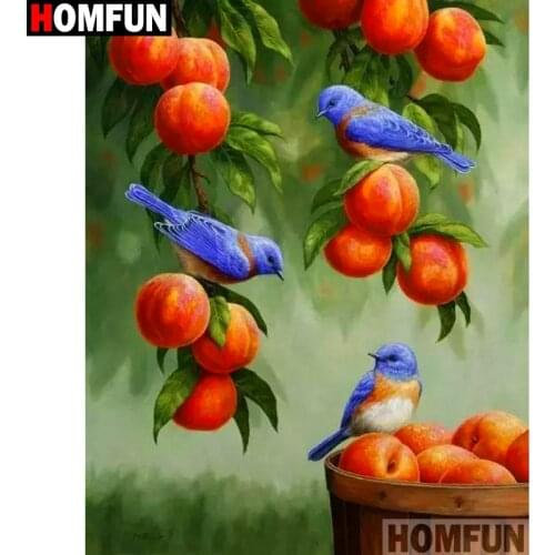 HOMFUN Full Square/Round Drill 5D DIY Diamond Painting "Bird fruit" Embroidery Cross Stitch 3D Home Decor A10633