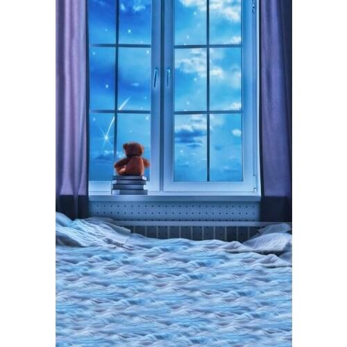 Fancy princess winter photo backgrounds vinyl window indoor decoration backdrops photography of photo studio photophones S-2091