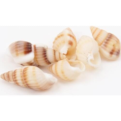 19-25mm Natural Spiral Shell Loose Beads for jewelry making DIY 100pcs TRS0126