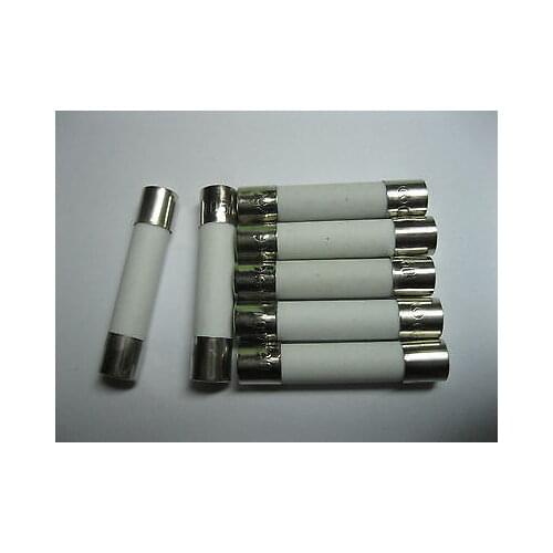 100 Pcs Fast Blow Ceramic Fuses 6 A 250V 6mm x 30mm
