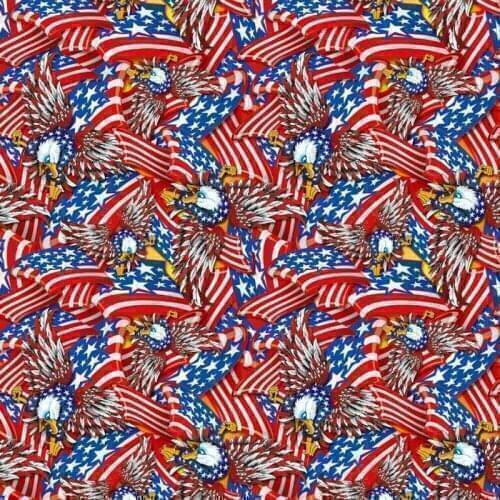 Free shipping 0.5mX2m/10m flag eagle hydrographics TSCR9028 water transfer hydrographics