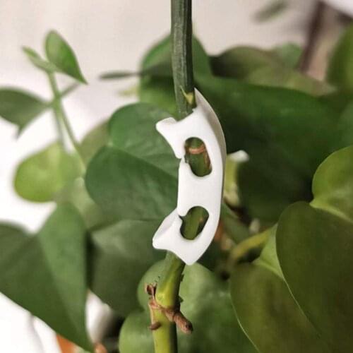 10PCS Plastic plant clips anti-bending tomatoes Branch Fixing Connects Vine Supporting Stems fruit garden Plant Grow W1P9