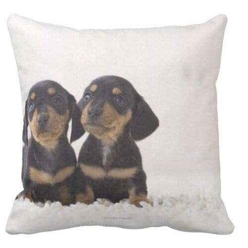 Two Mini Dachshund Sitting Throw Pillow case