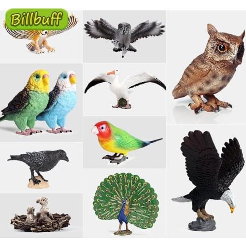 Simulation ABS Animals Eagle Owl Flamingo Parrot Peacock Figurine Plastic Model Action Figures Educational Toy for Children Gift