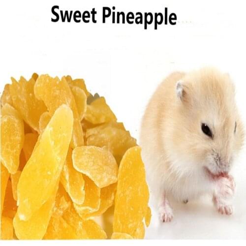 Pet Snacks Gift Package Total 100 g Dog Hamster Rabbit Guinea Pig Snacks Pet Food Sweet Pineapple Molar Training Rewards Food