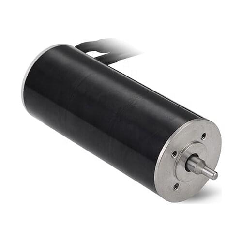 46mm 24V 8000Rpm High Torque Agv Brushless Dc Motor For Robot