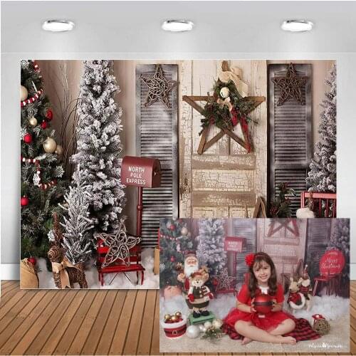 Vinyl Photography Backdrops Christmas Backdrop Newborn Baby Photographic Background Photo Studio Backdrop Photo Props