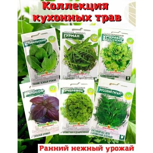 НК-Русский огород Parsley Seeds