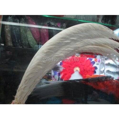 Wholesale 50 pcs rare white golden pheasant tail feather cover 32-36 inches / 80-90 cm show party decoration