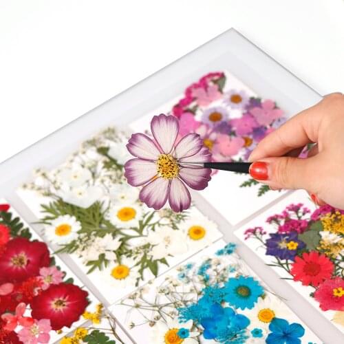 1 Bag Of Dried Flowers UV Resin Decorative Natural Flower Stickers 3D Dry Beauty Decal Epoxy Mold DIY Filling Jewelry
