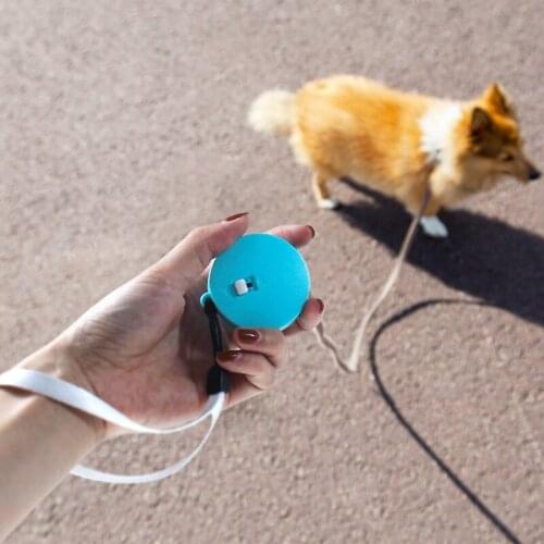 Outdoor Pet Walking Automatic Retractable Traction Rope Walking Cats Mini Rope Pet Supplie Dogs Leash Belt For Puppy Accessories