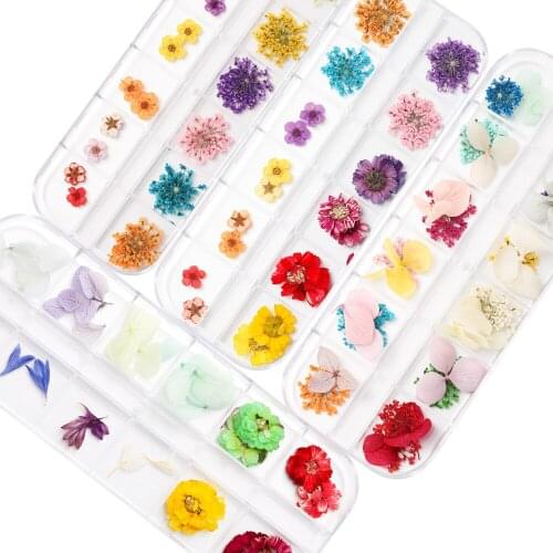 1 Box Daffodil Cornflower Real Dried Flower Dry Plants Epoxy Resin Mold Fillings Pendant For DIY Jewelry Making Accessories
