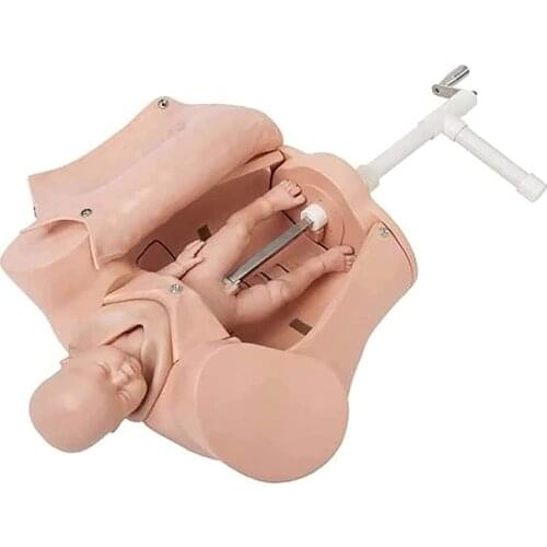 Female Childbirth Model Hand Delivery Machine Delivery Anatomy Model Midwifery Training Model Life Size Medical Education Model