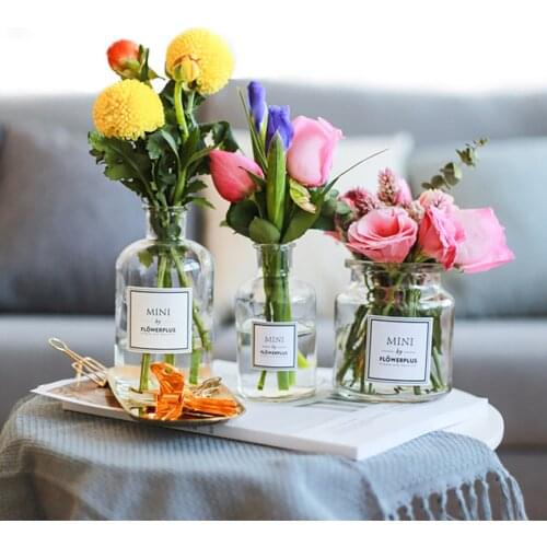 Tabletop Vase for Home Decoration Europe Nordic Design Vase for Flower Glass Arts Living Room Decoration Flower Vase