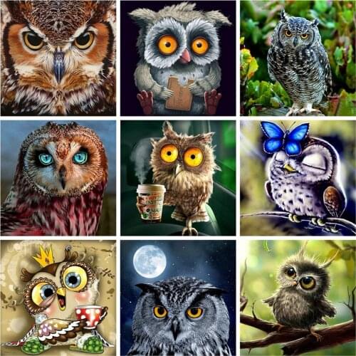 Huacan 5D Diamond Painting Owl Full Square DIY Diamond Embroidery Animal Art Decorations Home