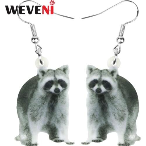 WEVENI Acrylic Gray Northern Raccoon Earrings Cute Wild Animal Dangle Drop Jewelry For Women Girls Kid Festival Gift Decoration