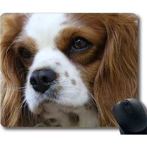 Custom Mouse pad,Dogs Galore Mouse Pad,Cavalier King Charles Cavalier King Charles Spaniel,Dogs Gaming Mouse mat