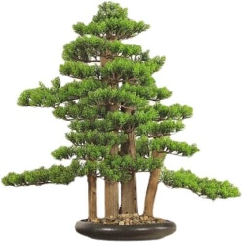 Hallway Simulation Green Plant Maple Leaf Welcome Pine Bonsai Solid Wood Beauty Pine Tree Dry Landscape Indoor House Decoration