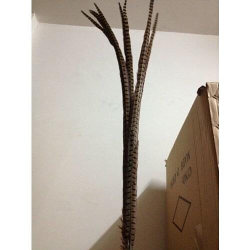 Wholesale perfect 100pcs high quality scare natural female Pheasant feathers 36-40inch/90-100cm Decorative diy Accessories