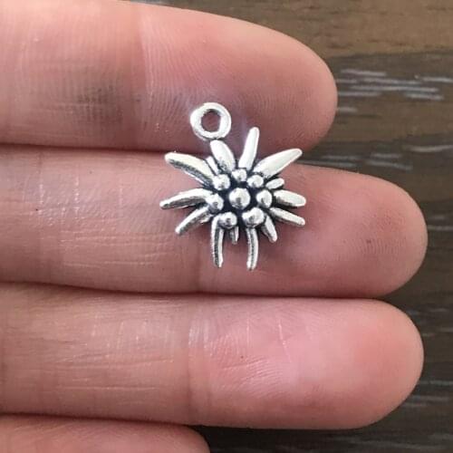 20PCS DIY Jewelry Making Edelweiss Charms Zinc Alloy Flower Pendant for Charm Bracelet Necklace Earrings Zipper Pull