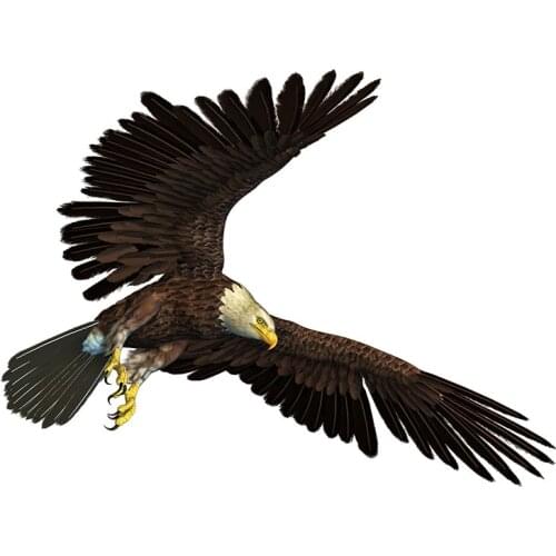 Three Ratels QC499 eagles cleaved the sky stickers for boys home decoration accessories for living room