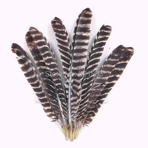 Wild Feathers,50pcs/lot NATURAL BARRED Wild Turkey Wing Pointers Wholesale Feathers 28-35cm long,freeshipping