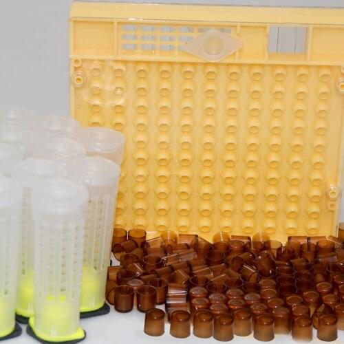 Full Set Bees Queen Rearing Kit Beekeeping Tools Bee keeping Include 110pcs Royal Cell Cups+ 10pcs Cupkit Box