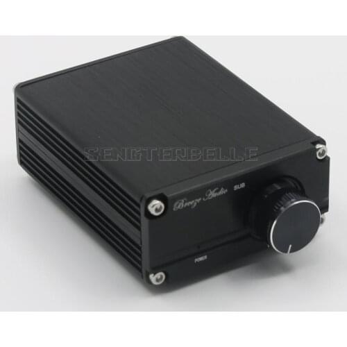 B3 TPA3116D2 Subwoofer Digital Power Amplifier Mono 100W HiFi Mini AMP With Power Supply