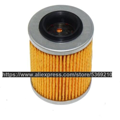 CF800 Engine Oil Filter CF800cc X8 ATV Accessories Repair Parts UTV800 0800-011300 HS800 JLX-CF800