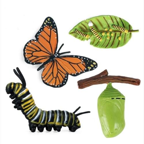 Kids Cognitive Educational Toys Simulation Animal Insect Model Mini Animal Butterfly Growth Cycle Ornaments