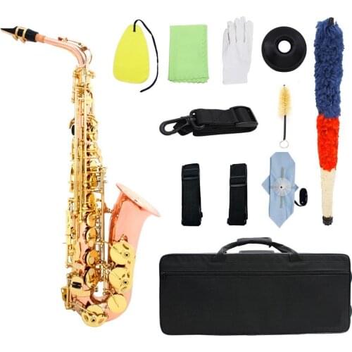 Dual-color Eb Alto Saxophone Sax Phosphor Copper Woodwind Instrument with Carry Case Gloves Cleaning Cloth Brush