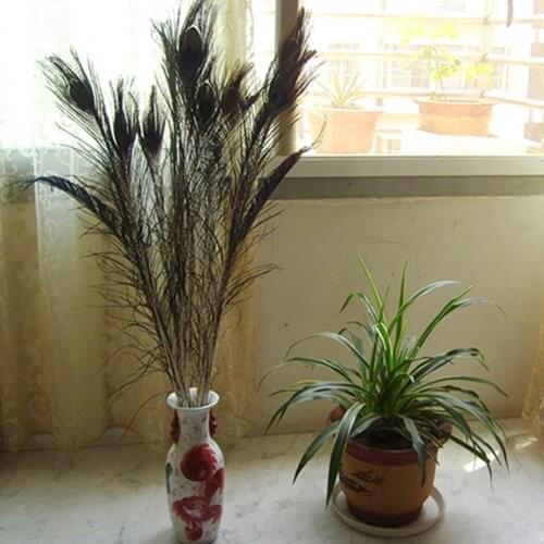 10Pcs Peacock Feathers Attractive DIY Creation Natural Peacock Eye Tail Feather for Party Office Desktop Garden Balcony Decor